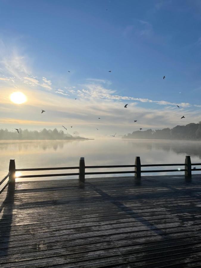 Artistiek Vakantiehuisje Hulst Extérieur photo