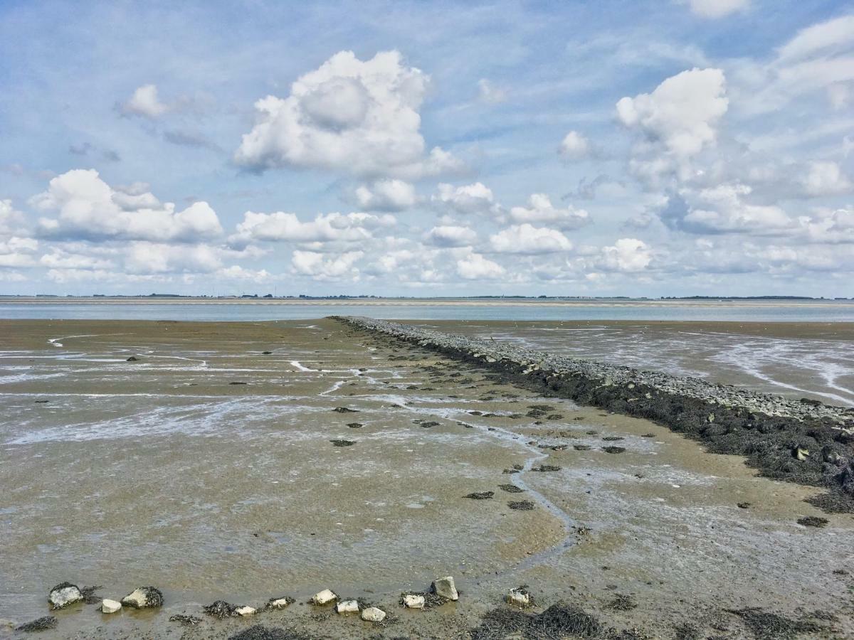 Artistiek Vakantiehuisje Hulst Extérieur photo
