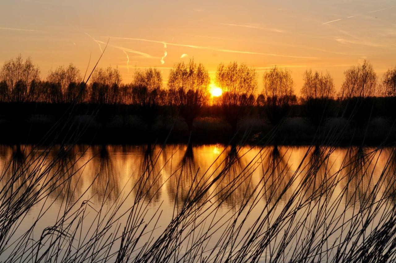 Artistiek Vakantiehuisje Hulst Extérieur photo