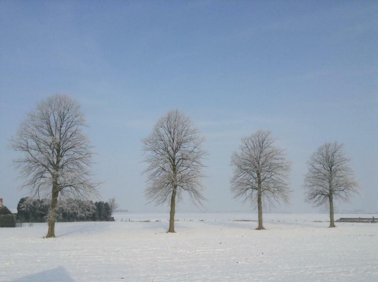 Artistiek Vakantiehuisje Hulst Extérieur photo